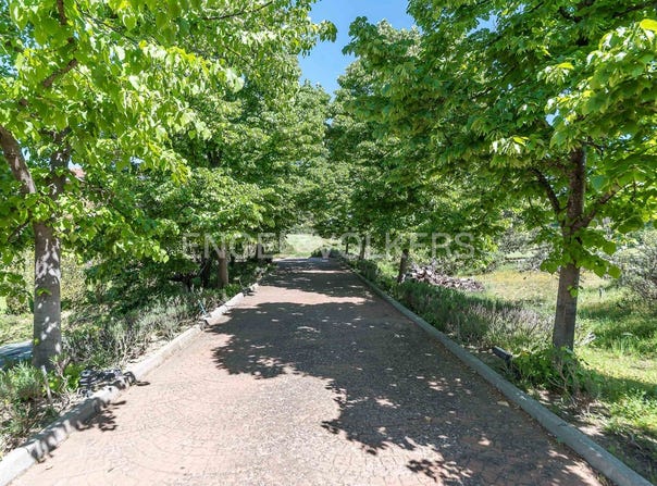 Boadilla del Monte, Community of Madrid 28668