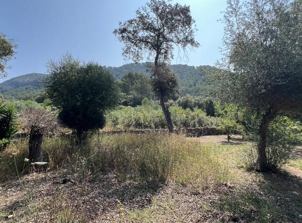Sa Pobla, Balearic Islands 07420