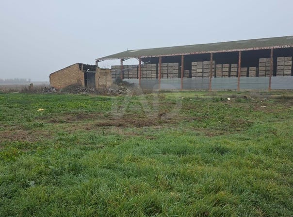 Vila-Sana, Catalonia 25245