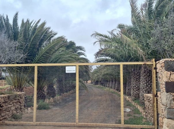 Antigua, Canary Islands 35610