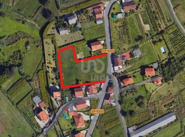 Pontevedra, Galicia 36960