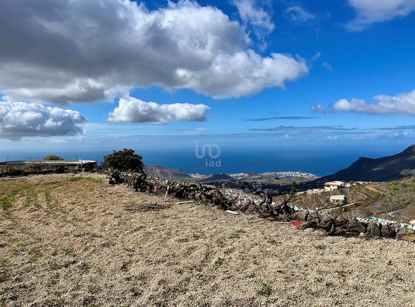 Santa Cruz de Tenerife, Canary Islands 38613