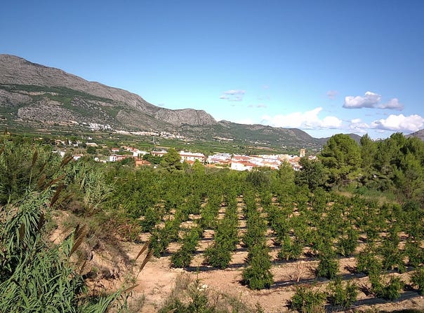 Orba, Valencia 03790