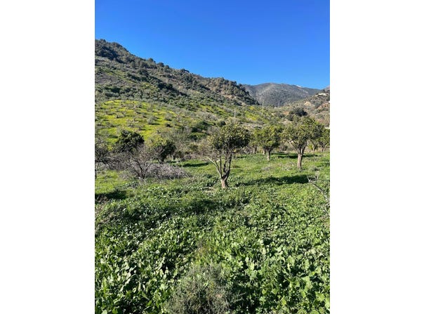 Huétor Tájar, Andalusia
