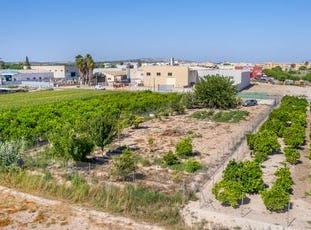 Formentera Del Segura, Costa Blanca (alicante)