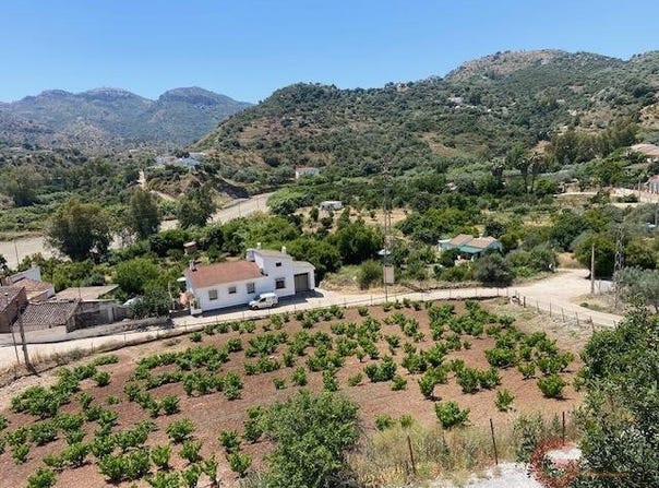Comares, Andalusia 29195