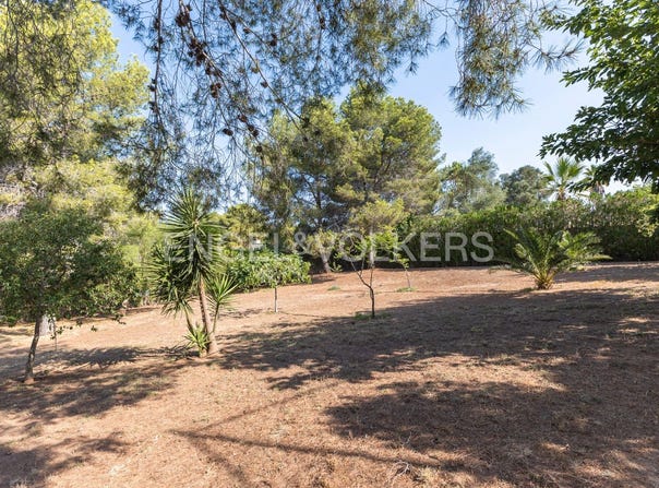 Torrent, Valencian Community 46900