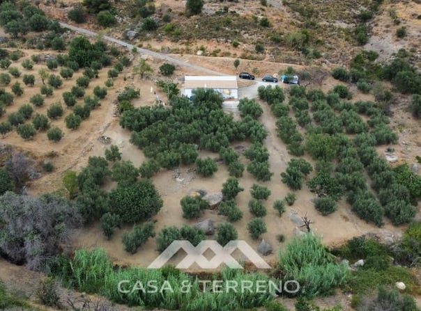 Alcaucín, Andalusia 29711