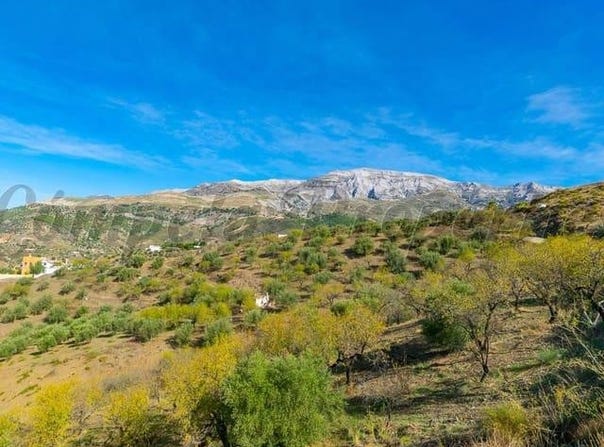 Sedella, Andalusia 29715