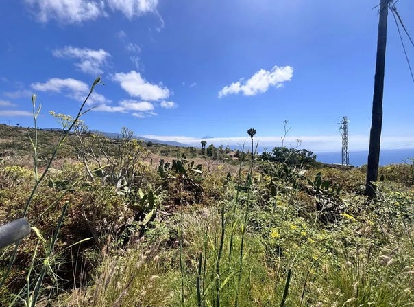 Tacoronte, Canary Islands
