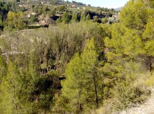 Penàguila, Valencian Community