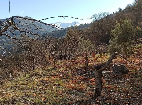 Güejar Sierra, Andalusia