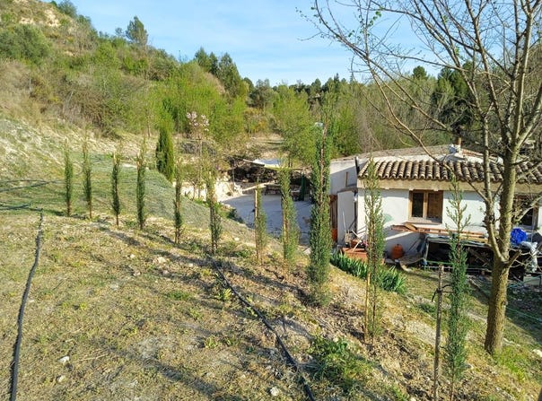 Cocentaina, Valencia 03820