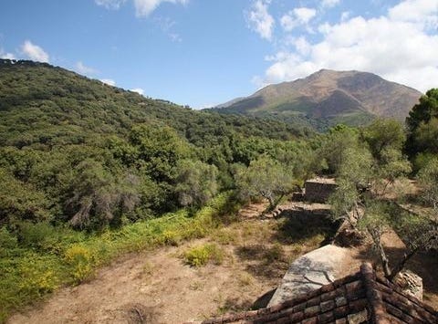 Casares, Malaga 29001