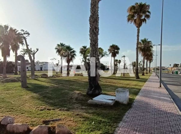 Calle Río Tajo, Torrevieja, Valencian Community 03184