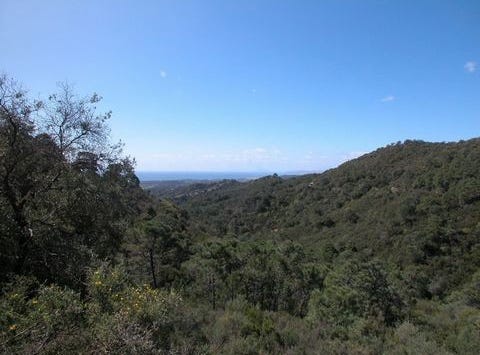 Selwo, Estepona, Malaga 29680