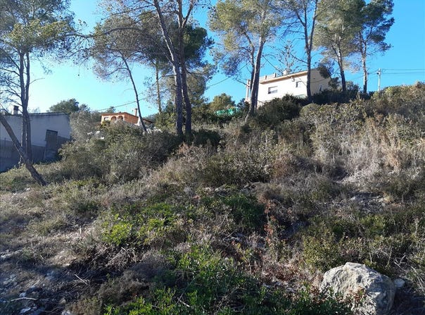 Olivella, Catalonia
