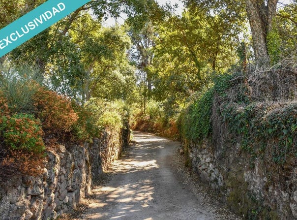 Acebo, Extremadura 10857