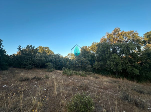 Fresnedillas de la Oliva, Community of Madrid 28214