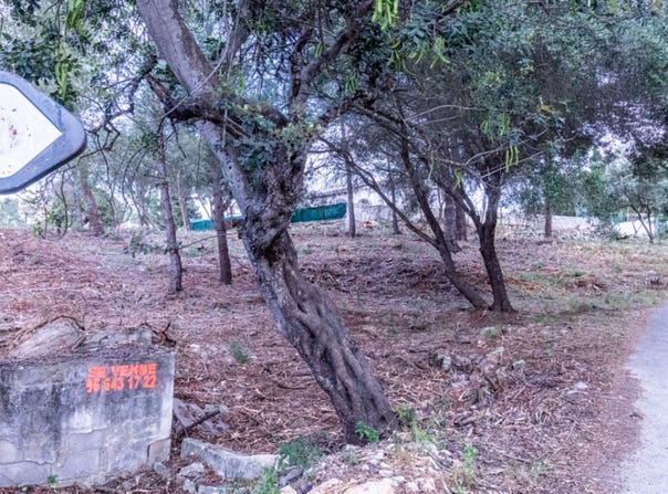 MON MITAD, Denia, Valencian Community 3700