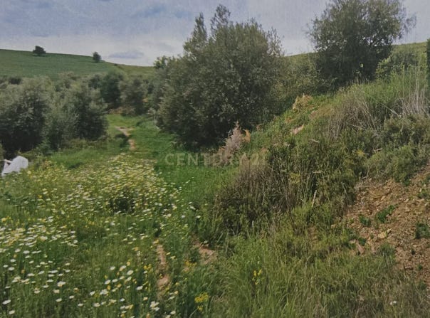 Cártama, Andalusia
