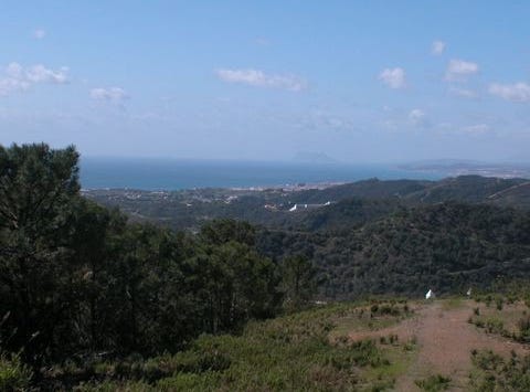 Selwo, Estepona, Malaga