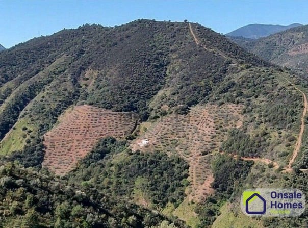 Monda, Andalusia 29110