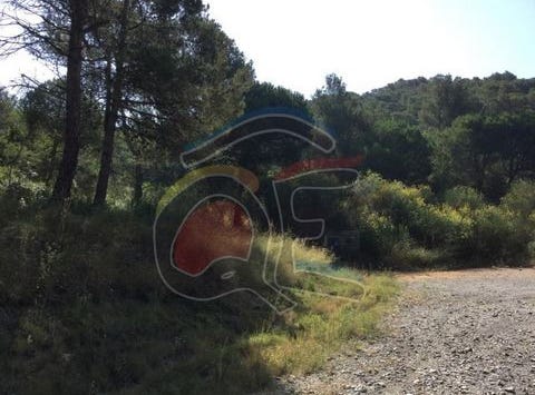 Palamós, Girona
