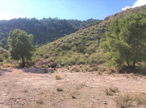 Lorca, Region of Murcia