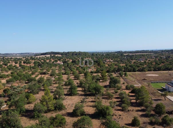 Balears (Illes), Balearic Islands 07141