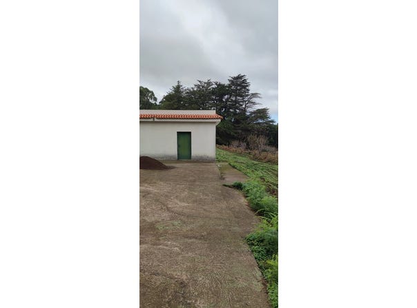 Sauzal (El), Canary Islands