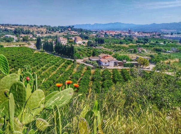Roquetes, Catalonia 43520