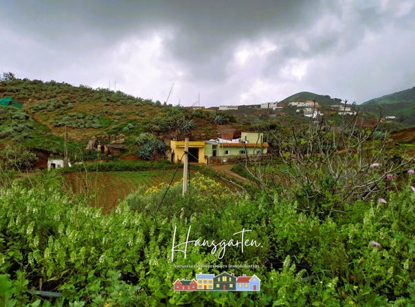 Santa María de Guía de Gran Canaria, Canary Islands 35457