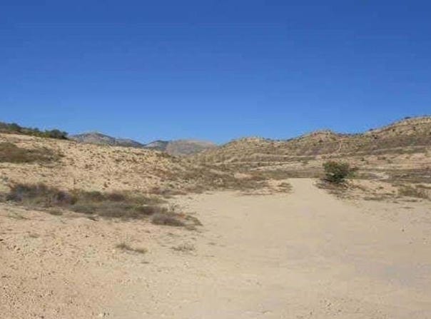 San Vicente del Raspeig/Sant Vicent del Raspeig, Valencian Community