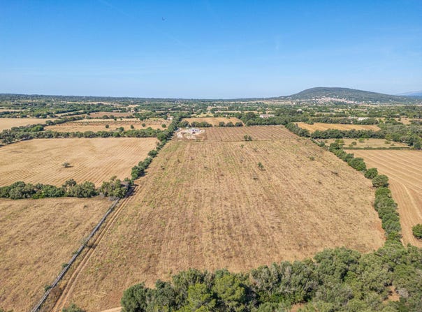 Sencelles, Balearic Islands 07140