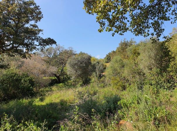 Sotogrande, Andalusia 11310