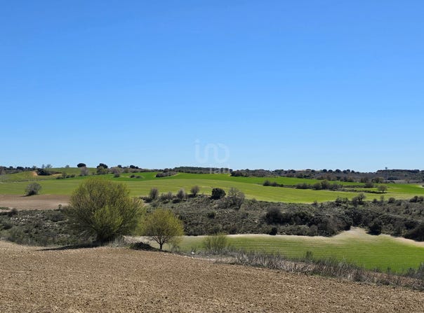 Madrid, Community of Madrid 28817
