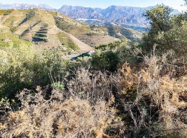 Torrox, Andalusia 29770