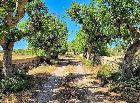 Alaior, Illes Balears|Baleares 07730