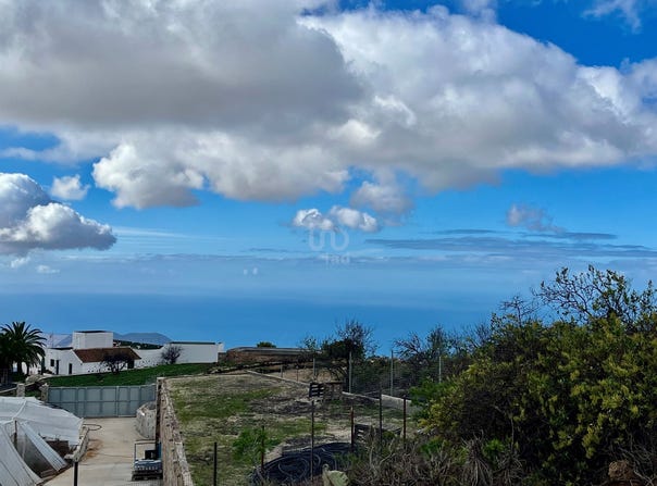 Santa Cruz de Tenerife, Canary Islands 38613