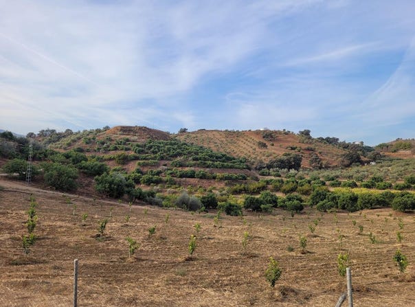 Guaro, Andalusia 29108