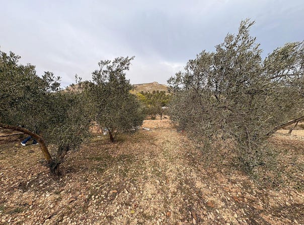 Onil, Valencian Community 03430