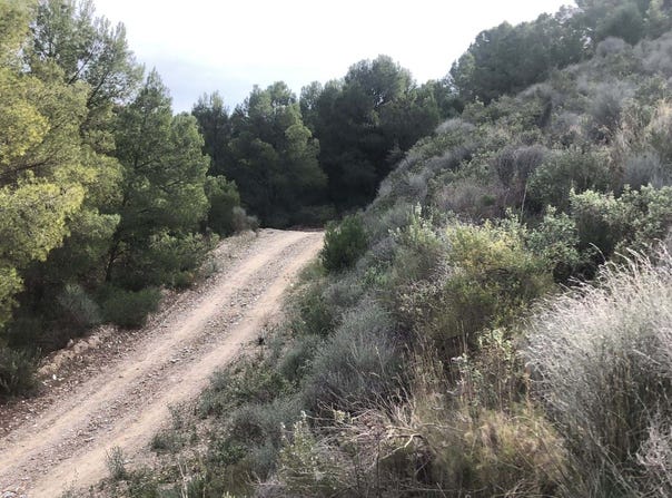 Lorca, Region of Murcia
