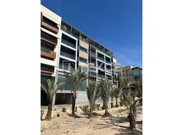 Elche, Elche Centro, Alicante, Valencian Community 03204