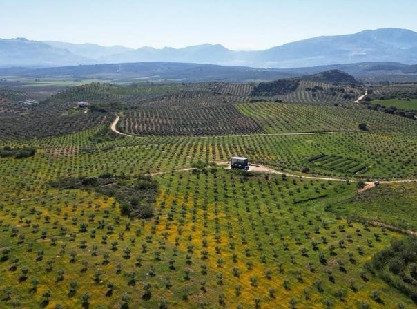 Archidona, Andalusia 29300