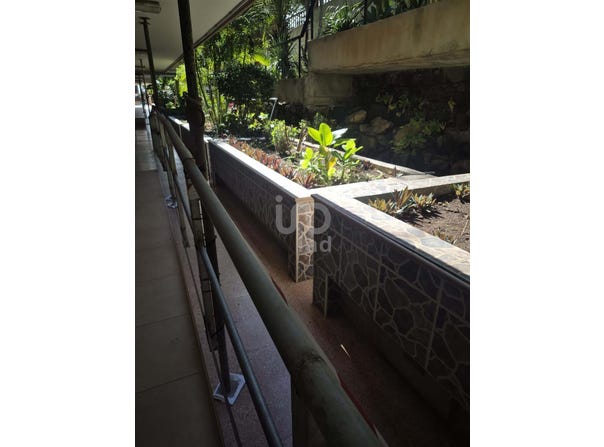 Santa Cruz de Tenerife, The Canary Islands 38005