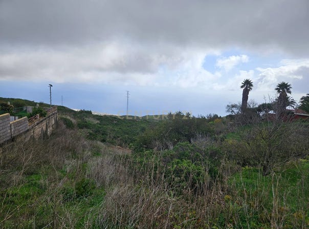 Rosario (El), Canary Islands