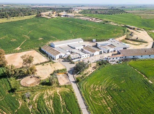 Alcalá de Guadaira, Andalusia 41500