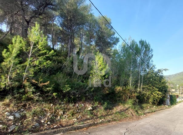 Barcelona, Catalonia 08811