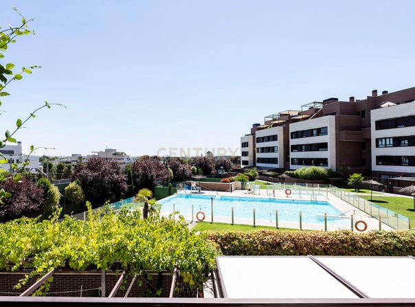 Pozuelo de Alarcón, Community of Madrid